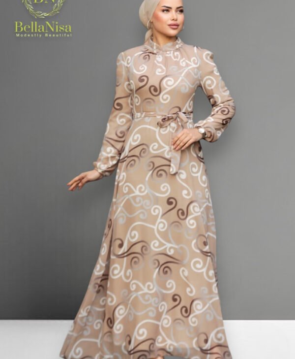 Chiffon Dress1