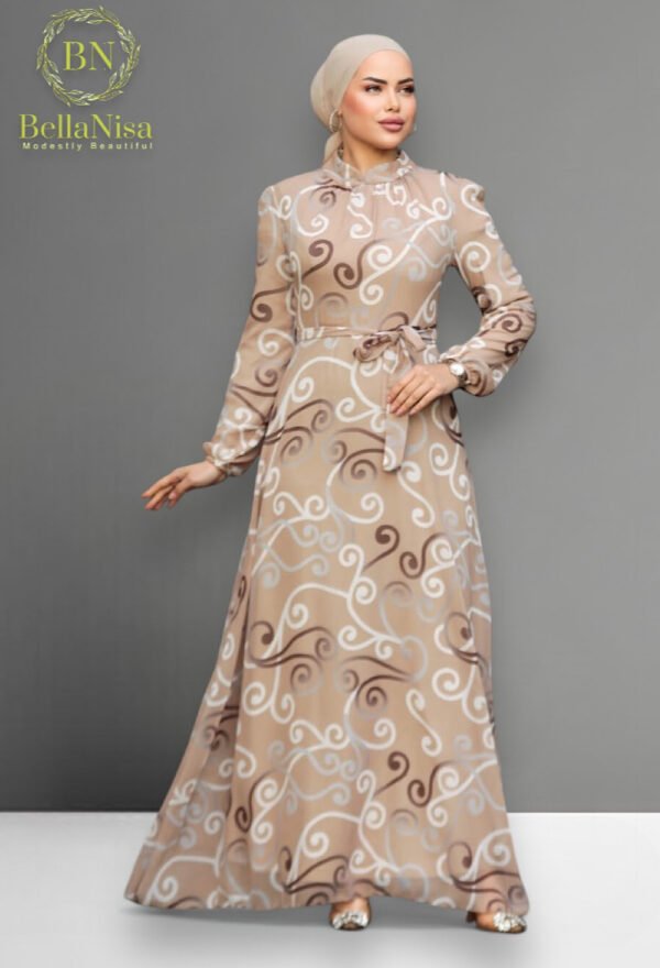 Chiffon Dress1