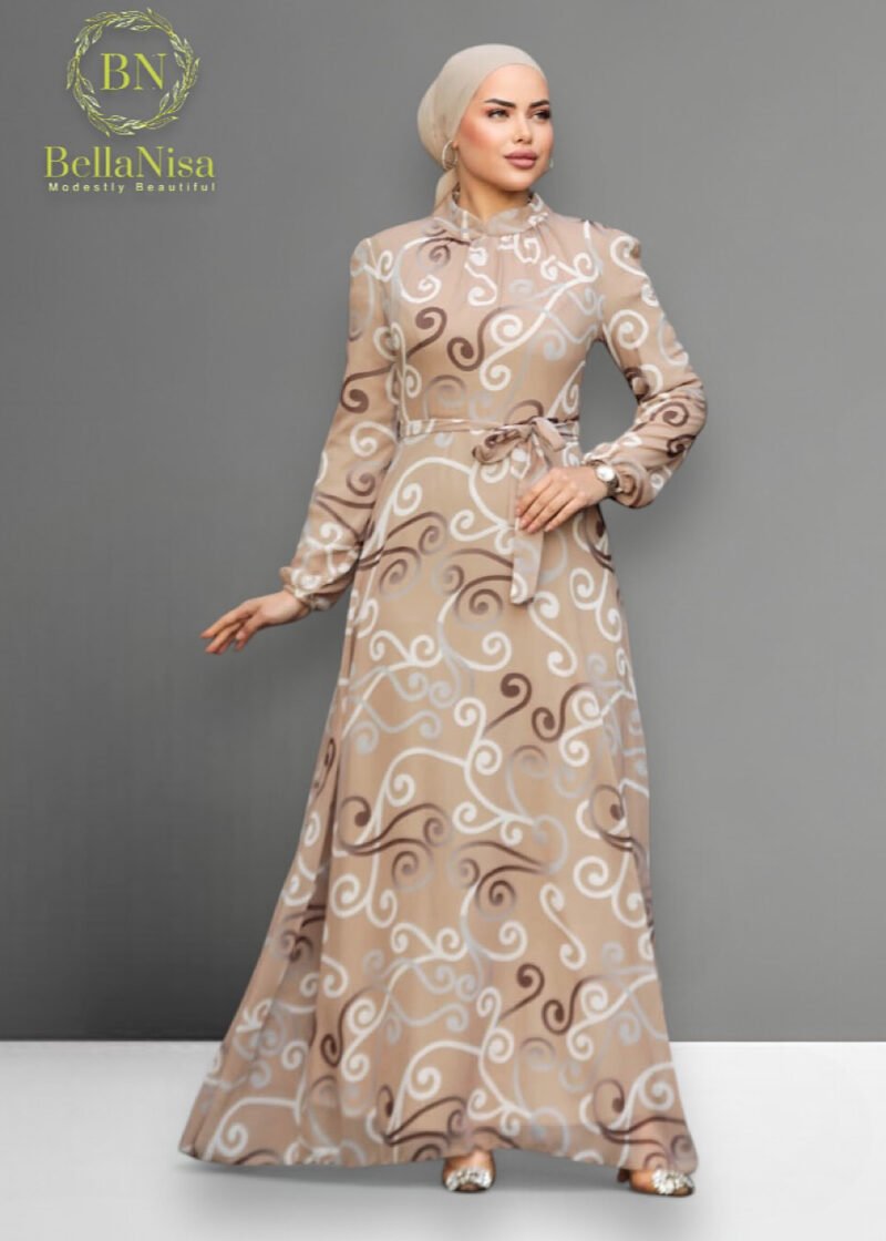 Chiffon Dress1