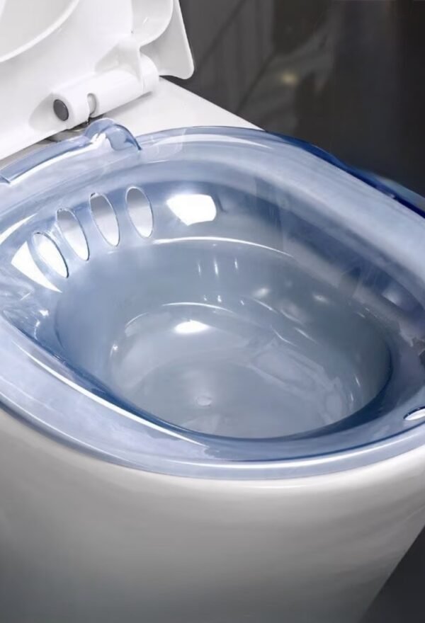 Intimate Steam Seat