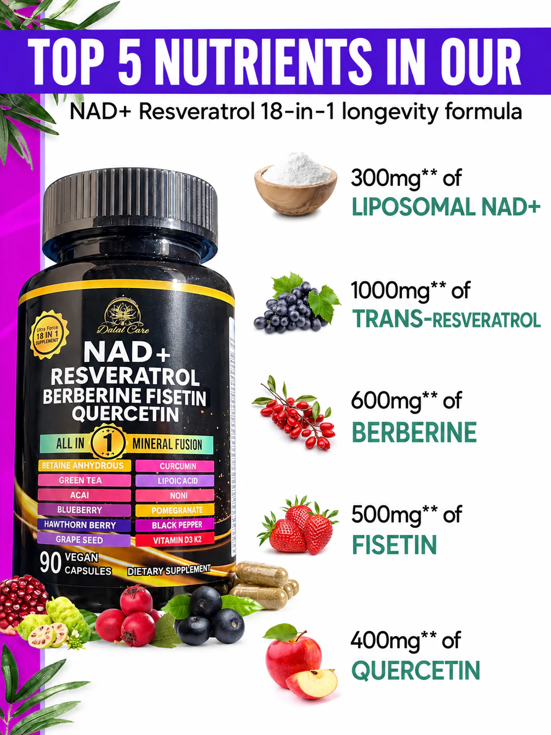 NAD+, Resveratrol, Berberine, Fisetin, and Quercetin - Image 4